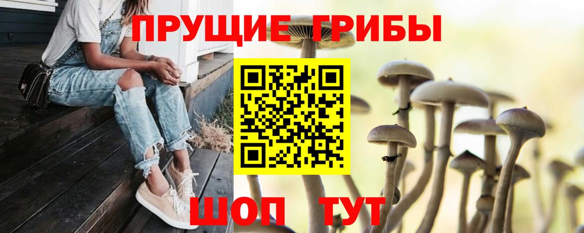Ленинск-Кузнецкий  Псилоцибиновые грибы мицелий  Вход с VPN 